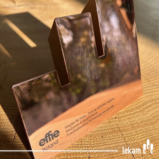 Brązowa statuetka Effie Poland 2025